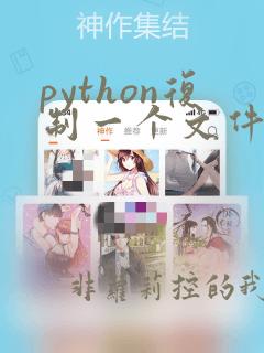 python复制一个文件到另一个文件夹