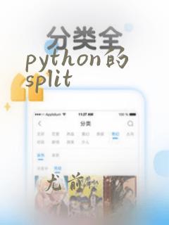 python的split
