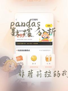 pandas 数据分析