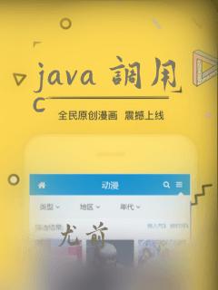 java 调用c  