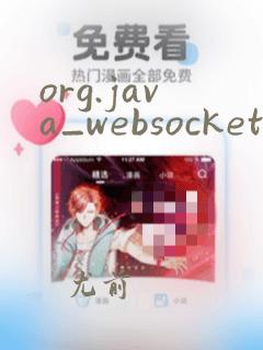 org.java_websocket