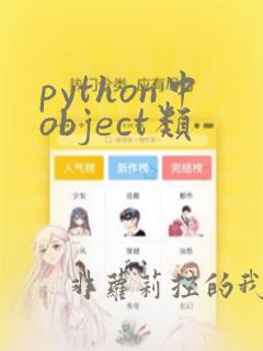 python中object类
