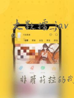 大数据 java