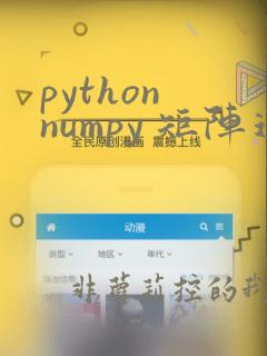 python numpy 矩阵运算