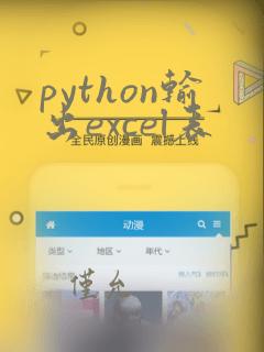 python输出excel表