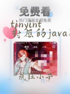 tinyint对应的java数据类型