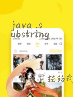 java .substring