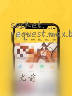 socket.request.max.bytes