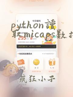 python读取micaps数据