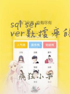 sql server数据库的数据类型