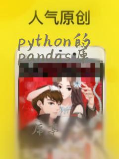 python的pandas库