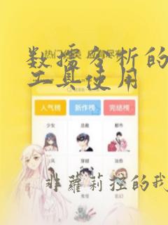 数据分析的分析工具使用