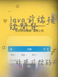 java前端后端开发