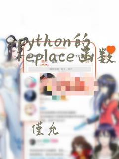 python的replace函数