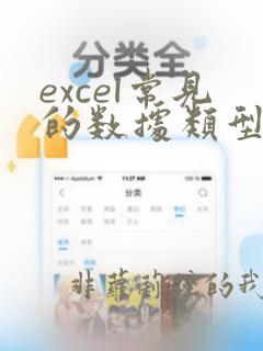 excel常见的数据类型