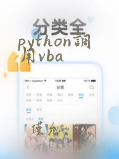 python调用vba