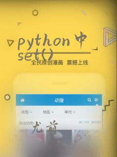 python中set()