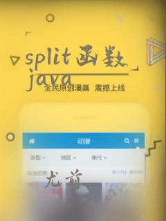split函数java