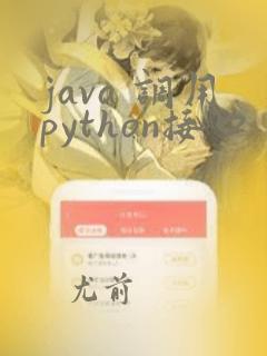 java 调用python接口