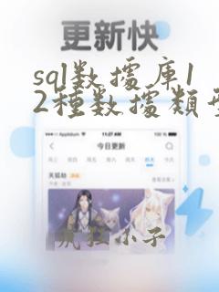 sql数据库12种数据类型