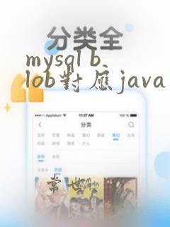 mysql blob对应java类型