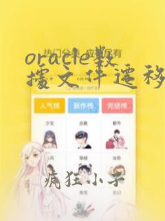 oracle数据文件迁移