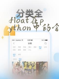 float在python中的含义