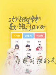 string转数组java