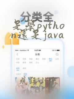 是学python还是java