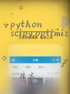 python scipy.optimize