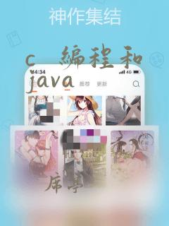 c   编程和java