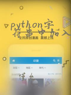 python字符串中加入字符
