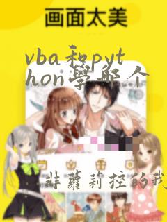 vba和python学哪个
