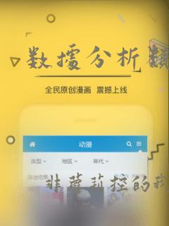 数据分析类项目
