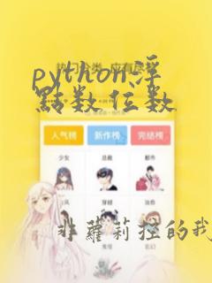 python浮点数位数
