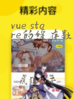 vue store的缓存数据