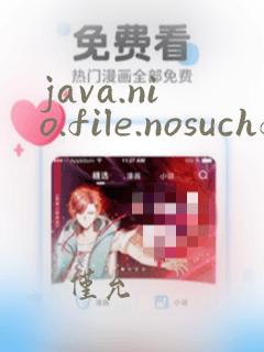 java.nio.file.nosuchfileexception: