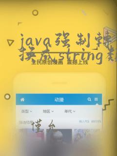 java强制转换成string类型
