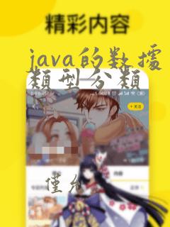 java的数据类型分类