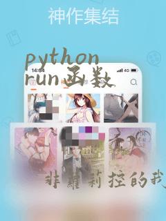 python run函数