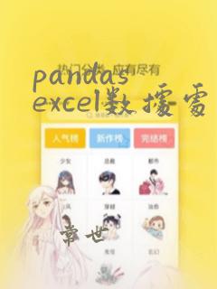 pandas excel数据处理教程