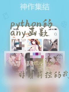 python的any函数
