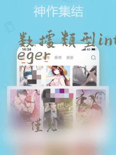 数据类型integer