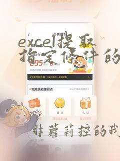 excel提取指定条件的数据