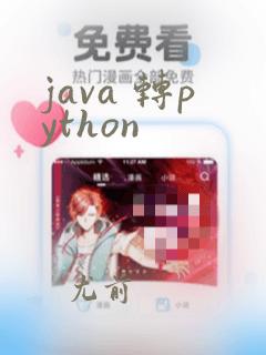 java 转python
