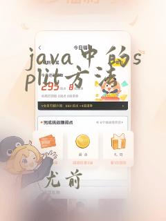 java中的split方法