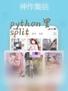python里split