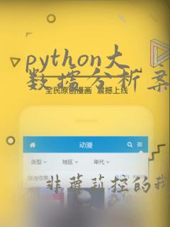 python大数据分析案例