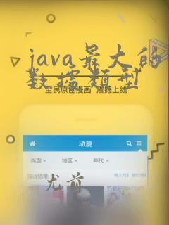 java最大的数据类型