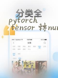 pytorch tensor 转numpy